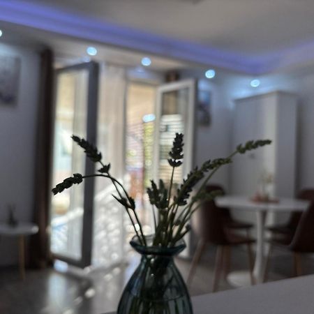 Luxury Apartman Nr Šibenik Eksteriør bilde