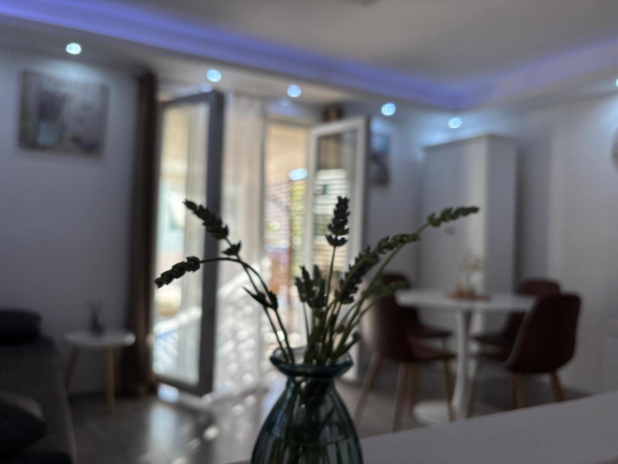 Luxury Apartman Nr Šibenik Eksteriør bilde